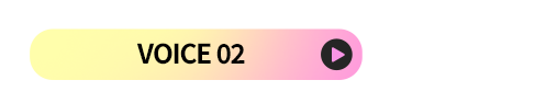 <input type=