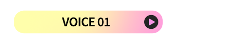 <input type=